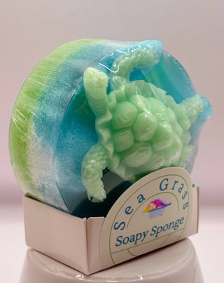 Soapy Sponge Turtle Crawl
