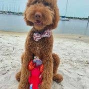 Clean Earth Recycled Plush Toys - 100% Sustainable: Small Pelican