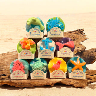 Soapy Sponge Turtle Crawl