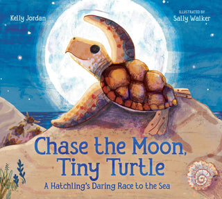Chase The Moon, Tiny Turtle: Hatchling's Sea Race