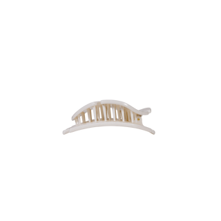 Sand Dollar | Tiny | Flat Shape Hair Clip