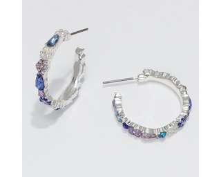 Silver & Blue Crystal Earrings