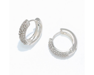 Silver & Crystal Hinged Earrings