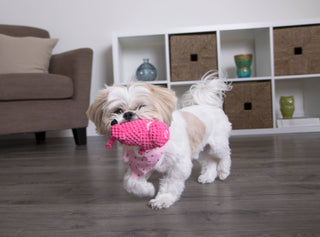 GoDog Checkers Just For Me Flying Pig Squeaky Plush Toy Mini