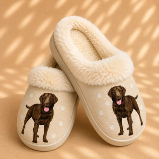 Chocolate Labrador Slippers