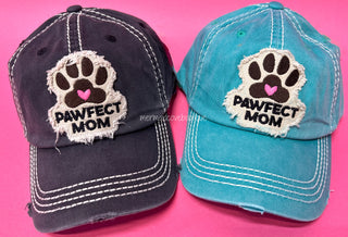Pawfect Hat in Turquoise