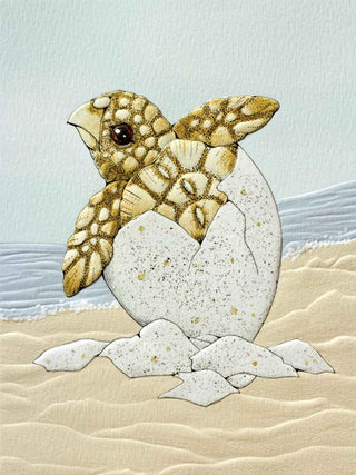 Turtle Hatchlings Cards Boxed Card Set of 10