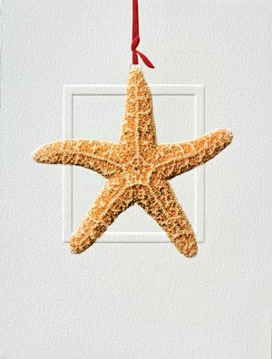 Sea Star Cards Boxed Card Set of 10