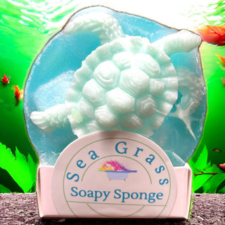 Soapy Sponge Turtle Crawl