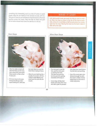 Dog Tricks Even You Can Teach Your Pet book