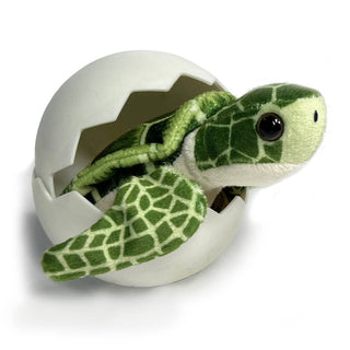 Sea Turtle Hatchling
