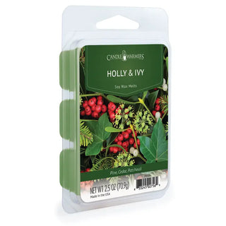 2.5 oz Wax Melt - Holly & Ivy