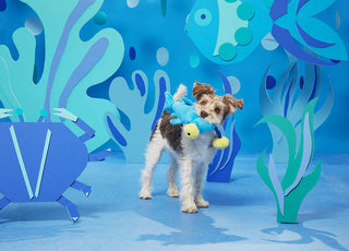 BARK Hammerin' Hank the Shark
