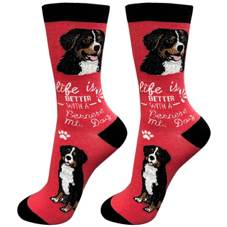 Life Is Better With A Bernese Mt. Dog Crew Socks