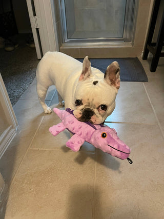 SnugArooz Ellie the Gator Plush Dog Toy 12"