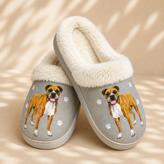 Boxer Slippers