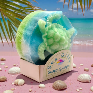 Soapy Sponge Turtle Crawl