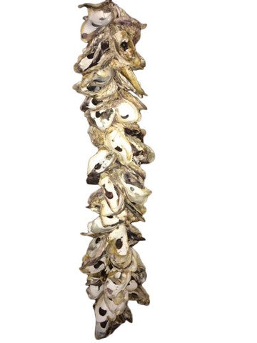 Fancy That Natural Oyster Shell Garland Indoor Outdoor 24 inch Long