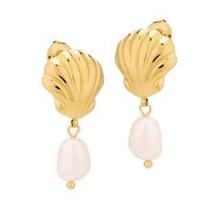 Shell & Pearl Earring in Gold