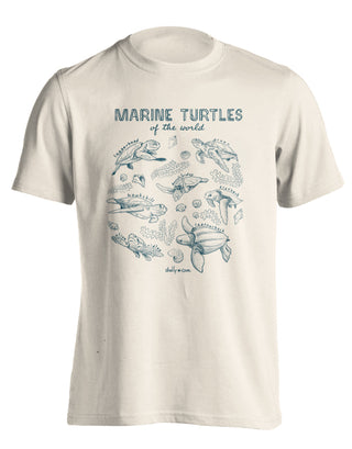 Marine Turtles Shelly Cove Turtle Short Sleeve T-Shirt in Ivory