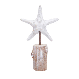 Sea Star on Stand