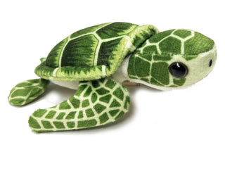 Sea Turtle Hatchling