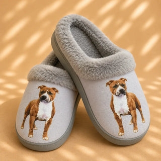 Pit Bull Slippers