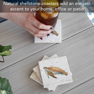 Sea Turtle 4 Pack Natural Shell Stone Absorbent Coasters