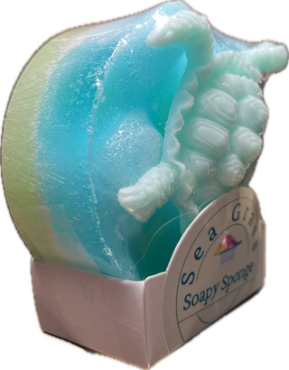 Soapy Sponge Turtle Crawl