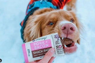 Etta Says! Meat Snack Bar Pork + Bacon Dog Chew 1.5oz