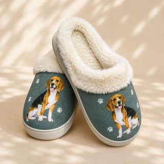 Beagle Slippers
