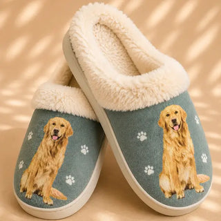 Golden Retriever Slippers