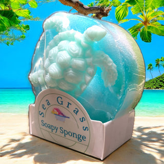 Soapy Sponge Turtle Crawl