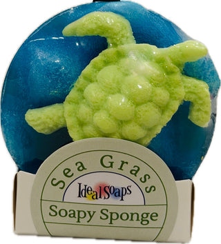 Soapy Sponge Turtle Crawl