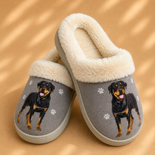 Rottweiler Slippers