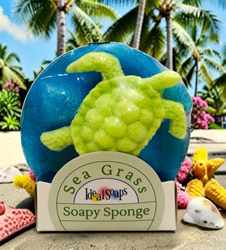 Soapy Sponge Turtle Crawl