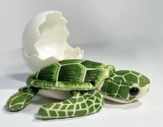 Sea Turtle Hatchling