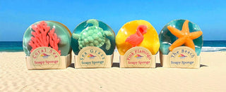 Soapy Sponge Turtle Crawl