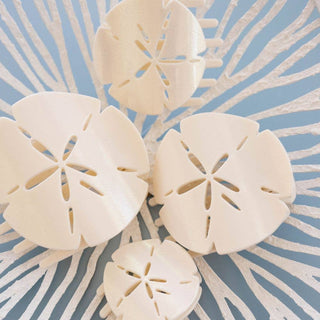 Sand Dollar | Small | Flat Shape Hair Clip