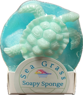 Soapy Sponge Turtle Crawl