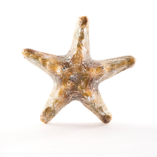 Foil Starfish Ornament