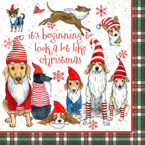 Paper Cocktail Napkins 20 ct Gnome Dogs Christmas