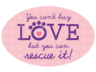 You Can't Buy Love but you can Rescut it Dog Magnet