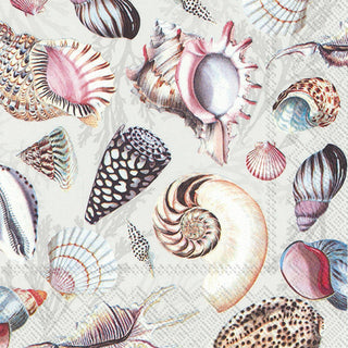 Paper Cocktail Napkins  Shells of the Sea