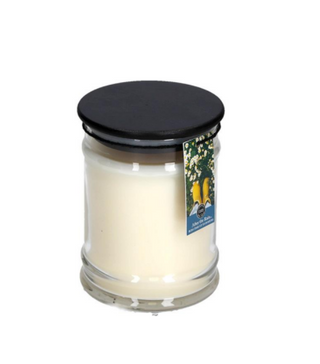 After The Rain 8 oz. Candle
