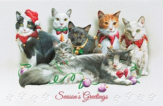 Festive Felines Boxed Cards Set of 16