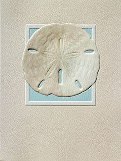 Sand Dollar Blank Boxed Cards Set of 9