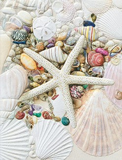 Shell Collection Boxed Cards Set of 9