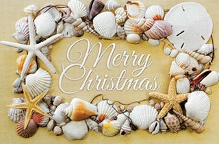 Seashell Christmas Boxed Cards Set of 16