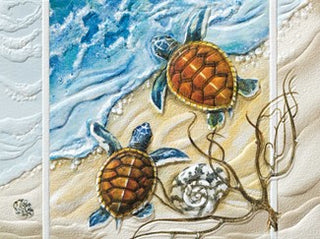 Turtle Twins Boxed Cards Set of 9